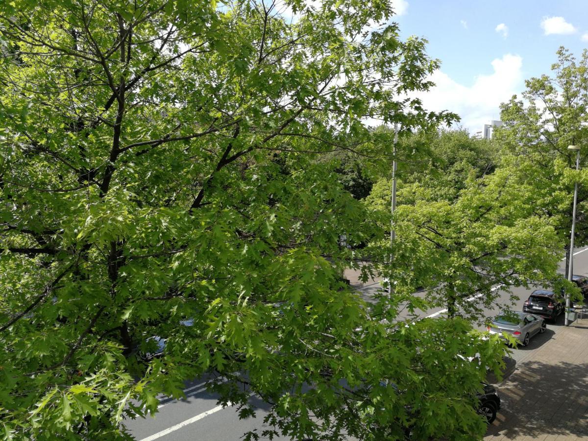 2-Zimmer Apartment Sofia, Gemuetlich Wie Zu Hause Offenbach am Main Buitenkant foto